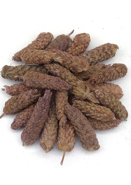 Karabaş Otu 100g