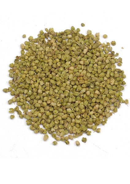 Bilye Kekik 100g