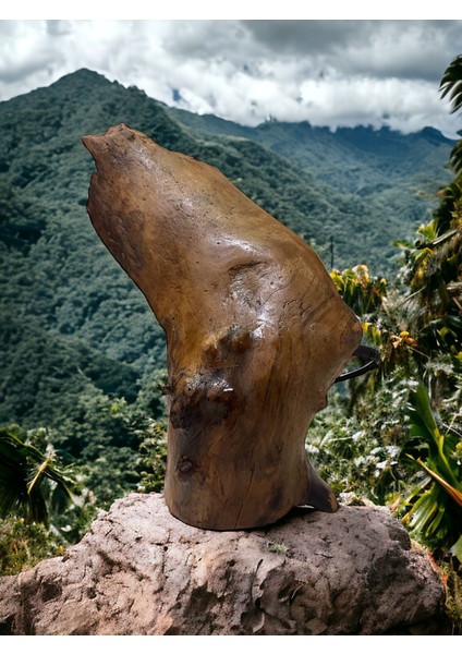 Dekoratif El Oyması Dığal Meşe Işıklı Obje fiyatları