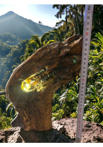 Dekoratif El Oyması Dığal Meşe Işıklı Obje modelleri