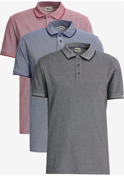 Slim Fit Dar Kesim 3 'lü Kıvrılmaz Polo Yaka Tişört