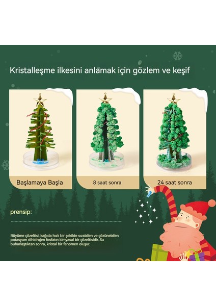 Sihirli Noel Ağacı Kristal Çocuk Oyuncağı (Yurt Dışından)