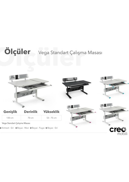 Yükseklik ve Eğim Ayarlı Çekmeceli Raflı Vega Standart Çalışma Masası Antrasit / Gri