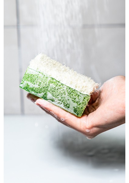 2'li Premium El Yapımı Doğal Kabak Lifli Eşek Sütü Ballı & Aloe Vera Sabunu Seti