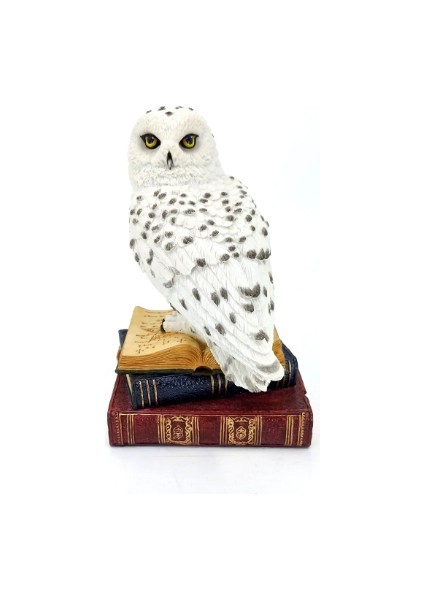 Wıse Kitap Üstünde Kar Baykuşu BİBLO-WU78178AA