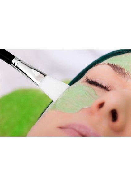 Premium Maskeleme ve Yüz Silikon Fırçası Büyük Boy (Yurt Dışından) fiyatları
