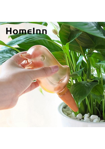 Homeınn Çiçek Sulama Cihazı Kolay Dolum Kuş Şekli Çiçek Bitki Saksı Otomatik Sulama Cihazı (Yurt Dışından)