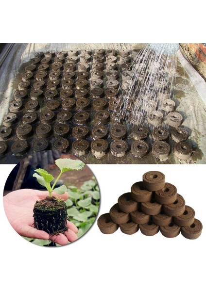 5 Adet 30MM Turba Tohumu Başlangıç Tapaları Palet Dikim Fidesi Toprak Blok - Kahverengi (Yurt Dışından)