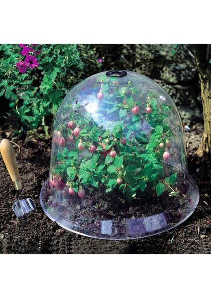 Bahçe Cloche Kubbe Bitki Çan Bitki Kapakları Bahçe Dekor Bitki Koruyucu Kapak Podazz (Yurt Dışından) fırsatları