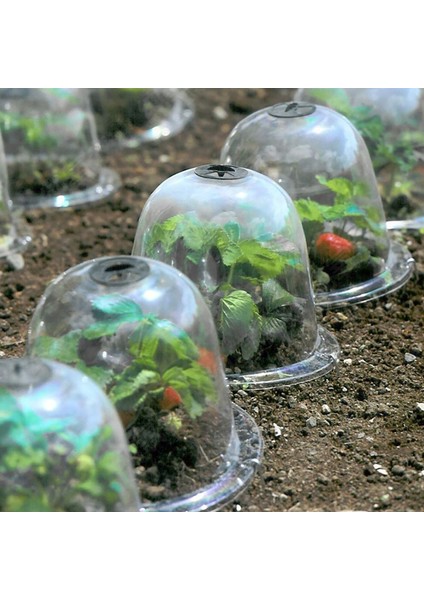 Bahçe Cloche Kubbe Bitki Çan Bitki Kapakları Bahçe Dekor Bitki Koruyucu Kapak Podazz (Yurt Dışından) indirimleri