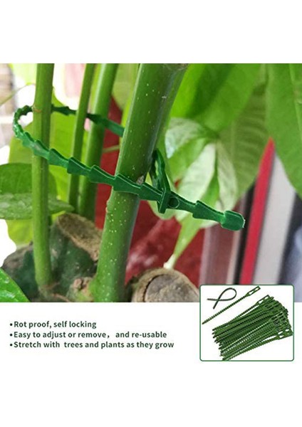 Bitki Destekleri-30 x Büyük Bitki Klipsi 30 x Küçük Klips 60 x Ayarlanabilir Bitki Büküm Bağı-Yeşil (Yurt Dışından) fiyatları