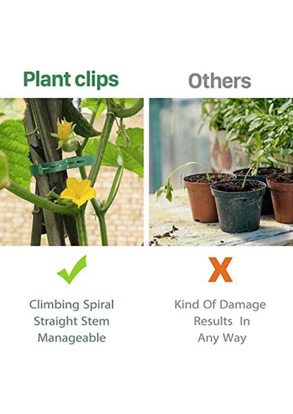 Bitki Destekleri-30 x Büyük Bitki Klipsi 30 x Küçük Klips 60 x Ayarlanabilir Bitki Büküm Bağı-Yeşil (Yurt Dışından) modelleri