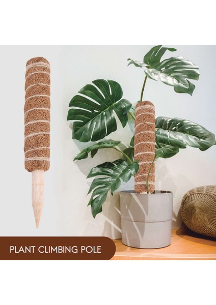 Bitki Desteği Uzatma Için 4 Paket Hindistan Cevizi Totem Direği Yosun Direği 30 cm (Yurt Dışından) modelleri