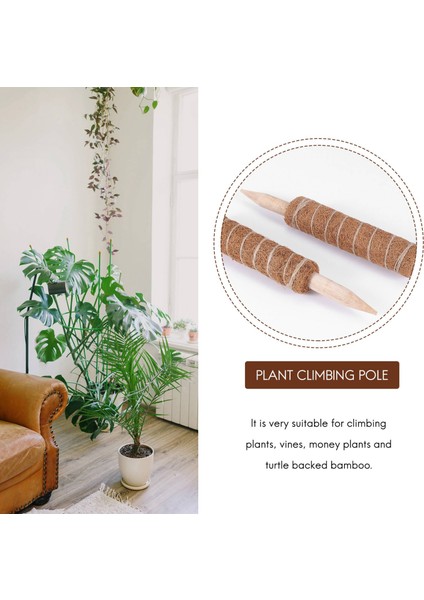 Bitki Desteği Uzatma Için 4 Paket Hindistan Cevizi Totem Direği Yosun Direği 30 cm (Yurt Dışından) fırsatları