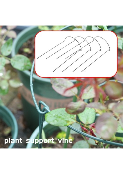 4'lü Paket Bitki Destek Kazığı Metal Bahçe Tesisi Kazık Yeşil Yarım Yuvarlak (Yurt Dışından)