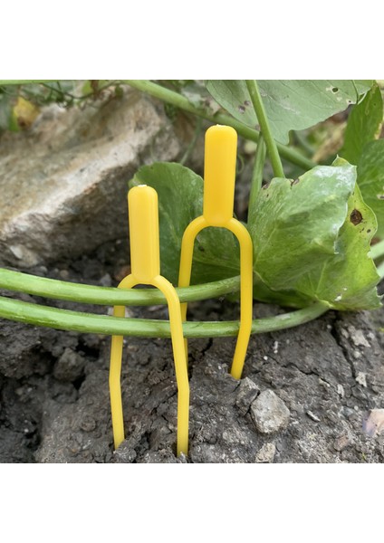 50 Adet Bahçe Aracı Plastik Bahçe Tesisi Klipleri Kafes Sicim Sera Aracı Karşılaşma (Yurt Dışından)