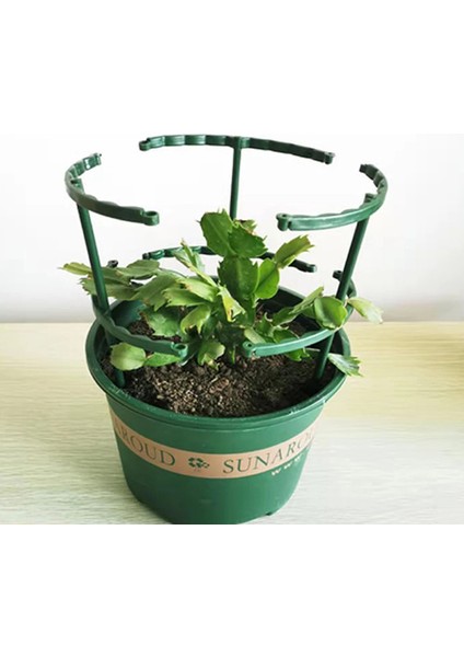 Bahçe Tesisi Destek Kafesi Çiçek Standı Tutucu Çubuk Ev Bahçecilik Bonsai Karşılaşma (Yurt Dışından)
