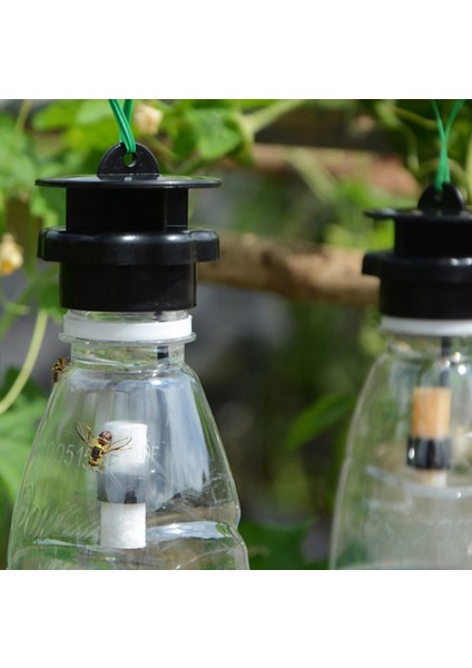 Meyve Sineği Tuzağı Öldürücü Plastik Drosophila Tuzağı Çekici Mj ile Sinek Yakalayıcı (Yurt Dışından) modelleri