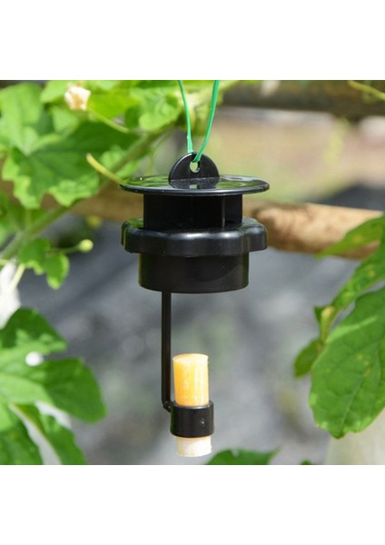 Meyve Sineği Tuzağı Öldürücü Plastik Drosophila Tuzağı Çekici Mj ile Sinek Yakalayıcı (Yurt Dışından) fırsatları