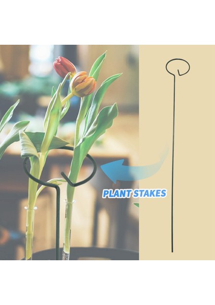 Domates Bitki Kazıkları-6 * Bitki Kazıkları-Yeşil (Yurt Dışından)