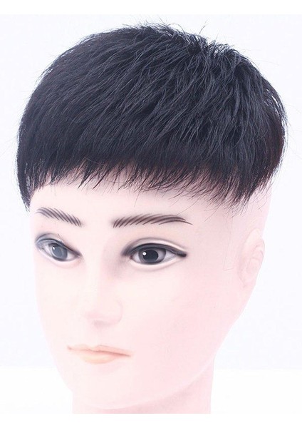 Nyt Peruk Erkek Kısa Saç Baş Üst Değiştirme Blok Tam Gerçek Saç Değiştirme (Yurt Dışından) modelleri