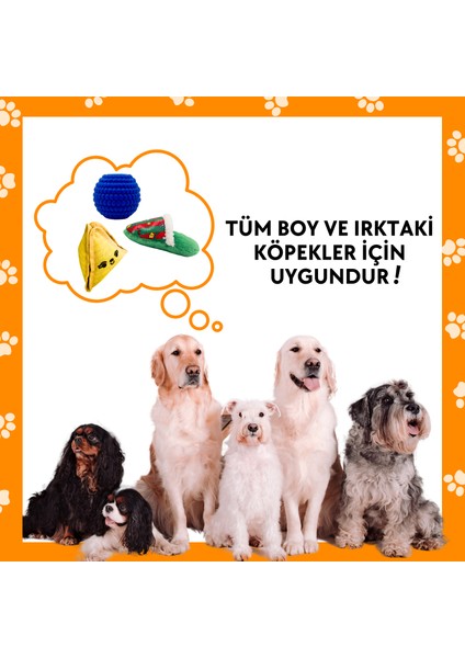 Köpek Aktivite Kutusu 3 Adet Interaktif Mama Saklamalı Köpek Oyuncakları Kauçuk Köpek Oyuncağı Köpek Oyun Topu ve Peluş Terlik Köpek Oyuncakları