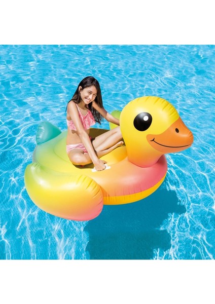 IBN57556 Ördek Binici Tutmaçlı Ada fiyatları