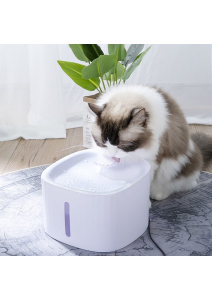 10 Adet Filtre Stili 3l 3l Kedi Çeşmesi Kedi Su Sebili Köpek Dolaşır Içme Kabı ve Filtreler Sessiz Köpek Su Sebilleri Kedi Su Fıskiyesi Besleyici (Yurt Dışından) indirimleri