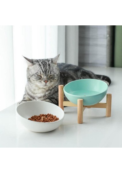 Turuncu Kase Stili 300ML Techome En Yeni Tasarım Pet Mama Kasesi Seramik Kedi Kase Ahşap Çerçeveli Kase Çapraz Çerçeveli Konik Kedi Kase Pet Seramik Kase (Yurt Dışından) modelleri
