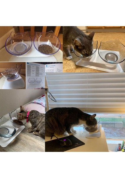 Siyah Çift Kişilik Stil Kaymaz Yükseltilmiş Standlı Çift Kedi Kase Evcil Hayvan Maması Kedi Besleyici Servikal Vertebrayı Koruyun Köpek Kasesi Şeffaf Pet Ürünleri (Yurt Dışından) fiyatları