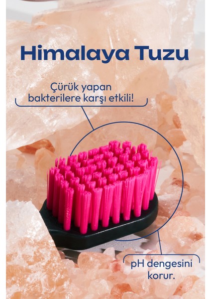 Probiwhite Himalaya Tuzlu Diş Fırçası (Gri) + Özel Tasarım Taş Stant modelleri