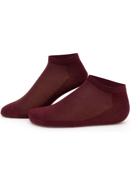 Erkek Erkek Bambu Karışımlı Bordo Patik Basic Çorap 50291764-900