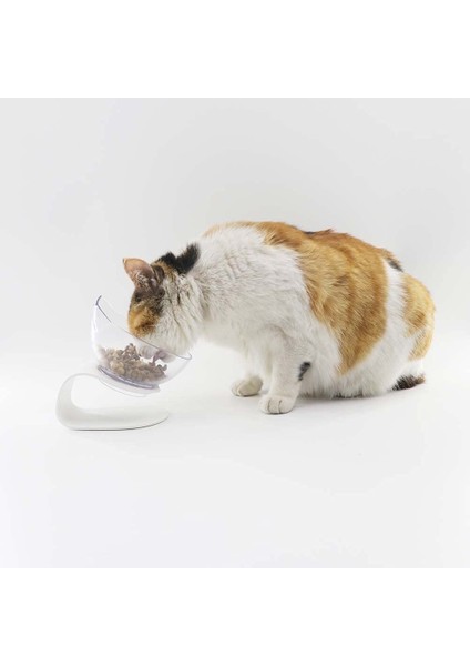 Kedi Kase-D Tarzı Kaymaz Kedi Kaseleri Yükseltilmiş Standlı Evcil Hayvan Maması Su Kaseleri Kediler Için Köpekler Besleyiciler Evcil Hayvan Malzemeleri Besleme Ürünleri Aksesuarlar (Yurt Dışından) fırsatları
