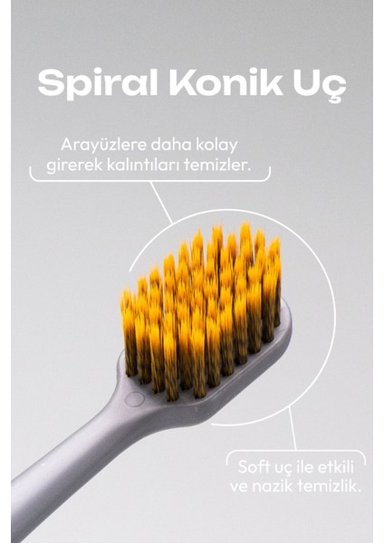 Probiwhite Spiral Uçlu Diş Fırçası (Gri) + Özel Tasarım Taş Stant modelleri