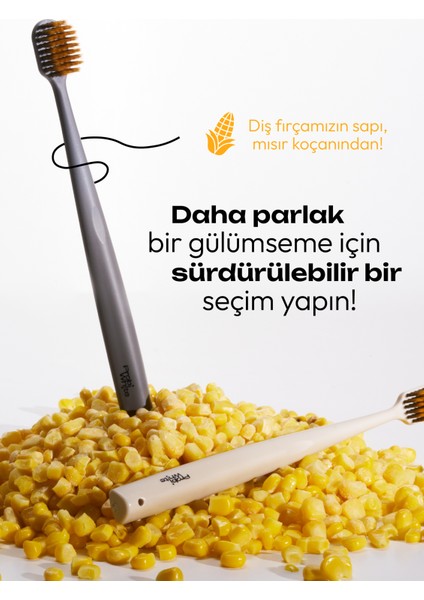 Probiwhite Spiral Uçlu Diş Fırçası (Gri) + Özel Tasarım Taş Stant indirimleri
