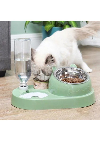 Yeşil Stil Kedi Kase Tiryakisi 16 Derece Eğik Koruma Boynu Paslanmaz Çelik Pet Besleyici Kediler Mama Dispenseri Kedi Suluk Köpekler Su Kasesi (Yurt Dışından) fırsatları