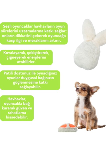 Hışırtı Sesli Tavşan Küçük Irk Köpek Oyuncağı Ses Çıkaran Peluş Köpek Oyuncağı