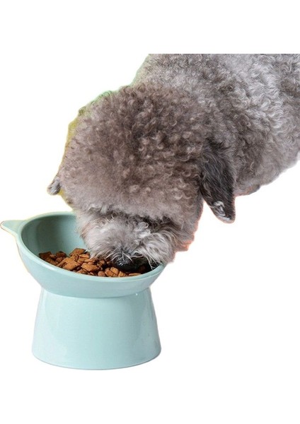 Açık Yeşil Stil Kase Kedi Yüksek Ayak Kedi Besleyici Köpek Kase 45 ° Boyun Koruyucu Evcil Hayvan Maması Su Kase Besleme Fincan Pet Besleyici Kase Kedi Aksesuarları (Yurt Dışından) modelleri