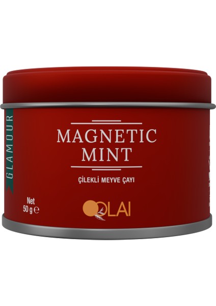 Magnetic Mint