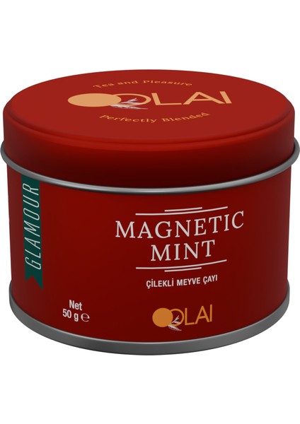 Magnetic Mint fiyatları