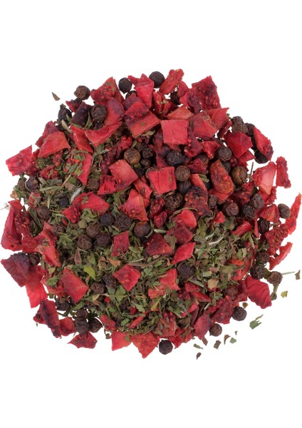 Magnetic Mint modelleri