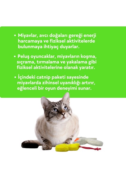 Sevimli Dostlar Kedi Oyuncak Seti Catnipli Peluş Civciv ve Sesli Peluş Tavşan Kedi Oyuncakları