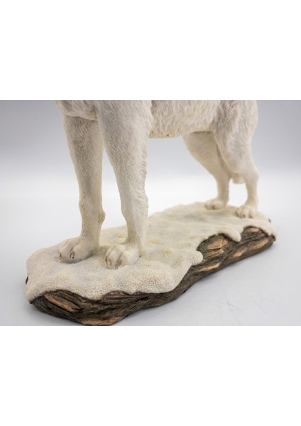 Wıse Beyaz Kurt BİBLO-WU75695AA modelleri