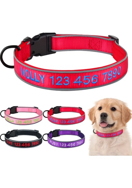 Mor Tarzı S Beden Aydınlık Anti-Çarpışma Köpek Tasması Özelleştirilmiş Işlemeli Köpek Bilgi Anti-Kayıp Evcil Hayvan Tasması Kişiselleştirilmiş Köpek Aksesuarları (Yurt Dışından) fiyatları