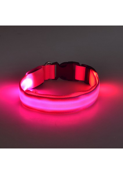 Pembe Tarzı Xl Boyutu LED Pet Aydınlık Yaka Gece Güvenlik Yanıp Sönen Köpek Tasması Ayarlanabilir Köpek Tasması Küçük Köpek Kedi Için Parlayan Köpek Tasması Yaka Perro (Yurt Dışından)