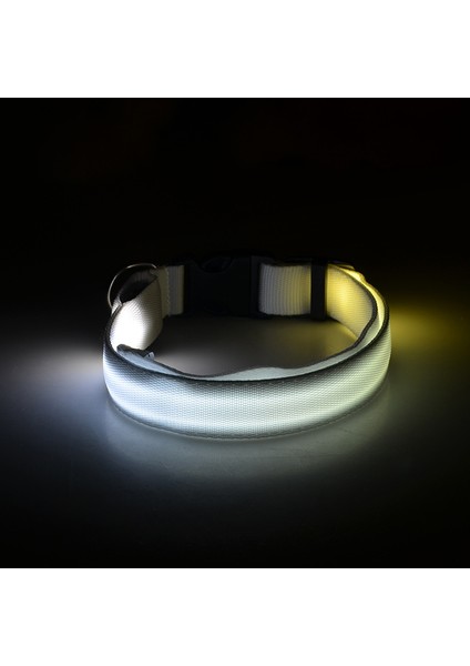 Beyaz Stil Xl Boyutu LED Pet Aydınlık Yaka Gece Güvenlik Yanıp Sönen Köpek Tasması Ayarlanabilir Köpek Tasması Küçük Köpek Kedi Için Parlayan Köpek Tasması Yaka Perro (Yurt Dışından)