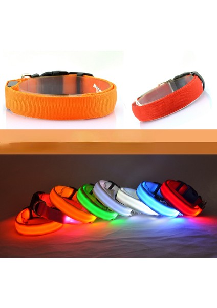 Beyaz Stil Xl Boyutu LED Pet Aydınlık Yaka Gece Güvenlik Yanıp Sönen Köpek Tasması Ayarlanabilir Köpek Tasması Küçük Köpek Kedi Için Parlayan Köpek Tasması Yaka Perro (Yurt Dışından) modelleri
