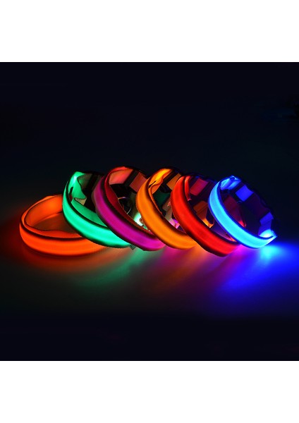 Beyaz Stil Xl Boyutu LED Pet Aydınlık Yaka Gece Güvenlik Yanıp Sönen Köpek Tasması Ayarlanabilir Köpek Tasması Küçük Köpek Kedi Için Parlayan Köpek Tasması Yaka Perro (Yurt Dışından) fırsatları
