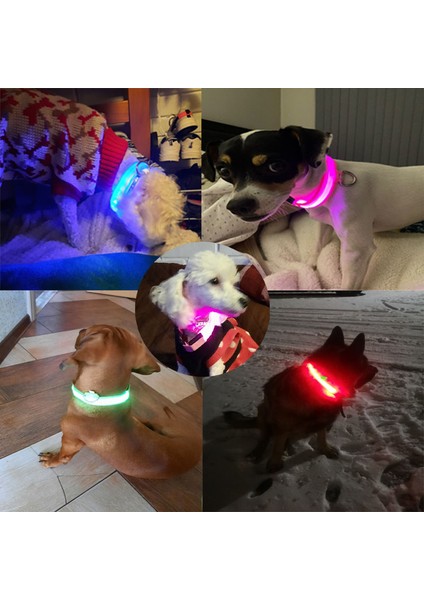 Usb-Mixcolor Stili 28-40 cm USB Şarj Edilebilir Veya Pil Pet Köpek Pet Kedi LED Parlayan Yaka Aydınlık Yanıp Sönen Kolye Açık Yürüyüş Gece Güvenlik Malzemeleri (Yurt Dışından)