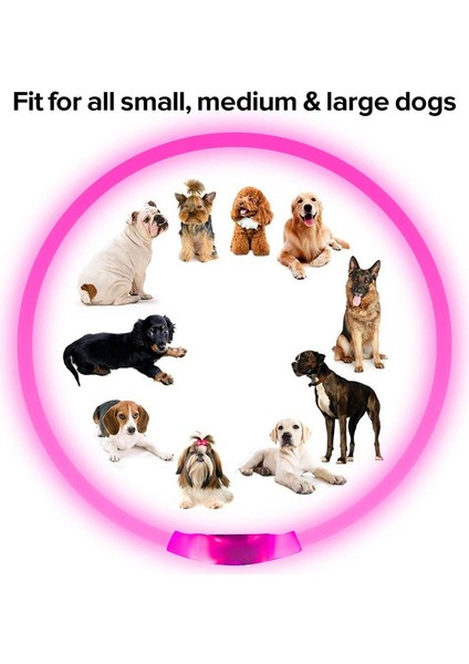 Yeşil Stil LED USB Köpek Tasması Pet Köpek Gece Aydınlık Şarj Yaka LED Gece Güvenlik Yanıp Sönen Kızdırma Köpek Kaybı Önleme Yaka Pet Aksesuar (Yurt Dışından) indirimleri